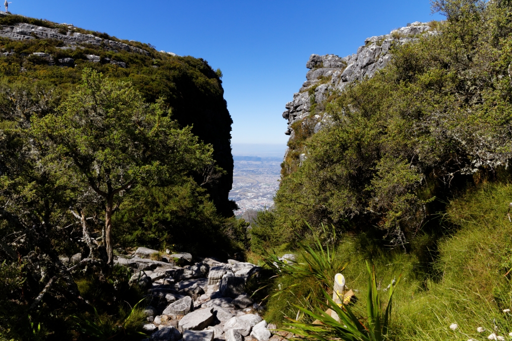 00 - Le Cap (40).jpg